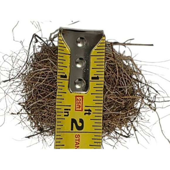 2 Genuine Bird Nest Natural Twigs Fur Lined Small Rustic Abandoned Sparrow Wren - Picture 6 of 10